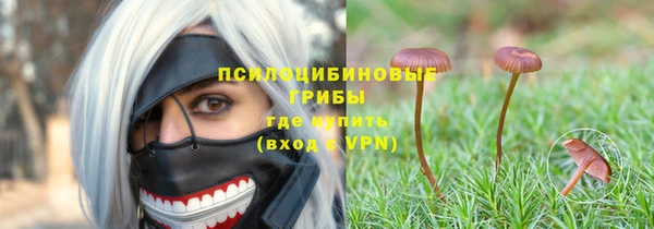 прущие крисы Алексеевка