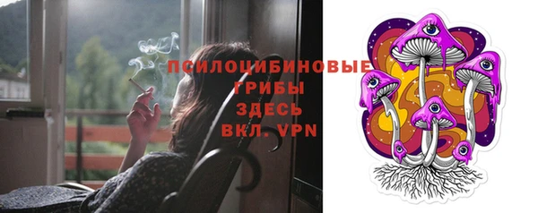 не бодяженный Алзамай