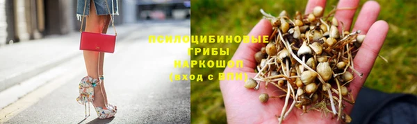 не бодяженный Алзамай